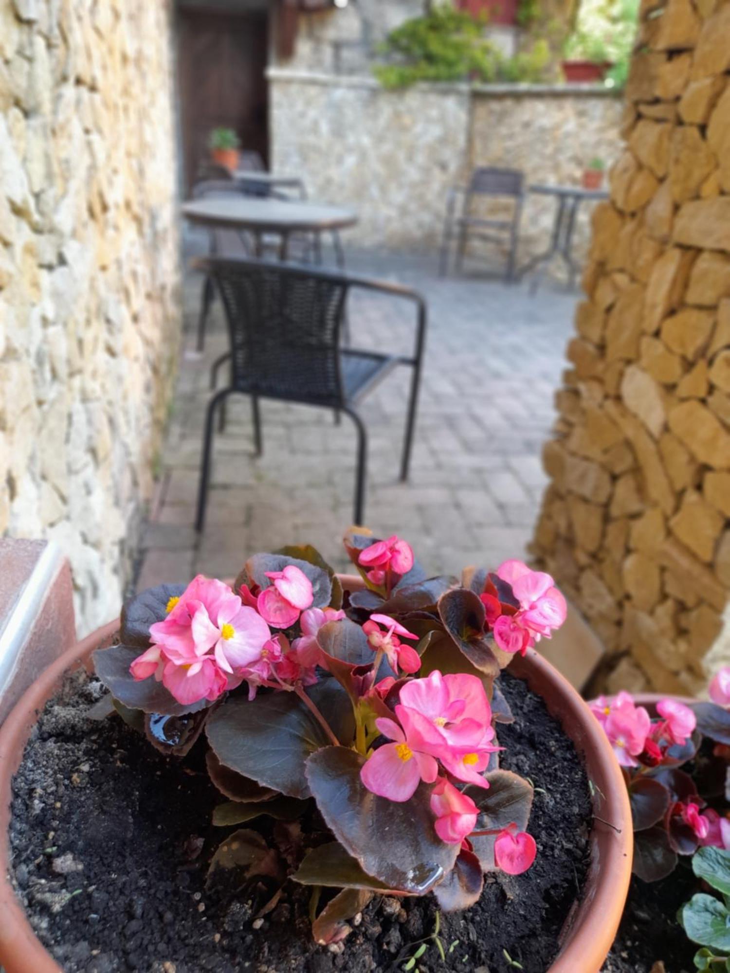 Szilvásvárad Harmonia Wellness Villa מראה חיצוני תמונה