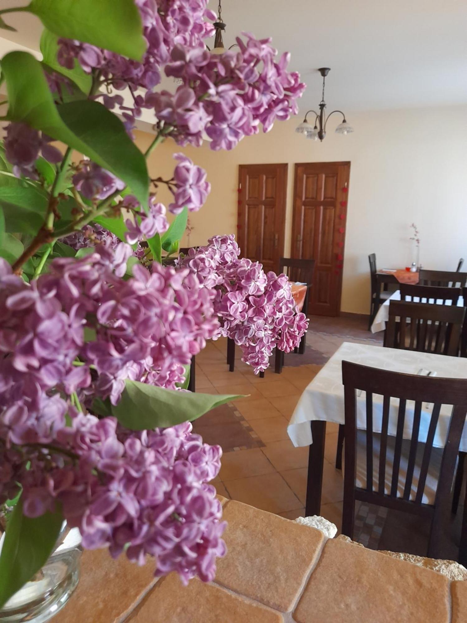 Szilvásvárad Harmonia Wellness Villa מראה חיצוני תמונה